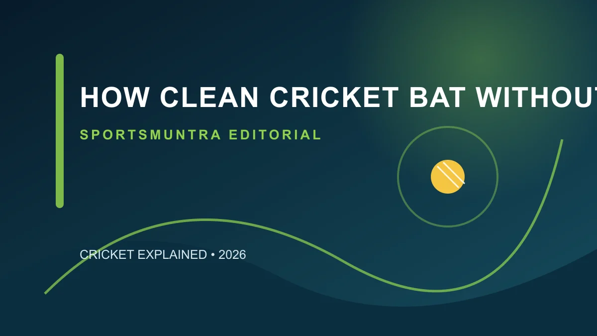 Original editorial illustration for How to Clean a Cricket Bat Without Damaging It