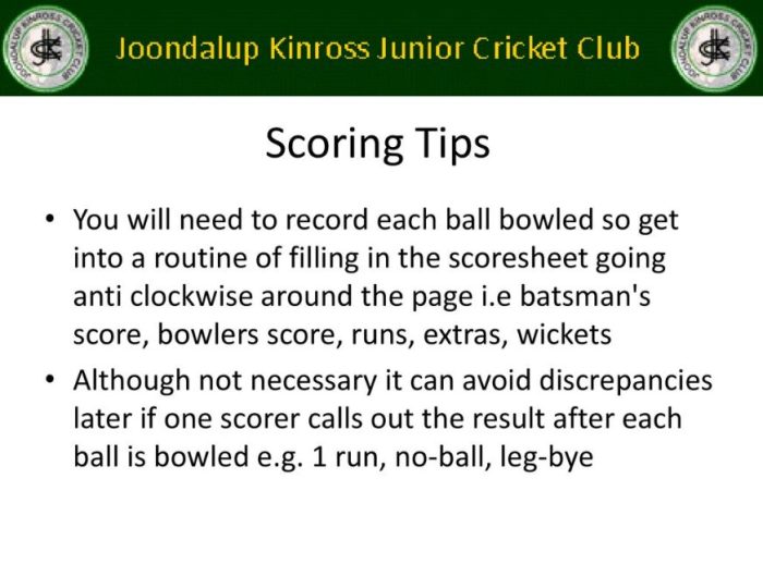 Tips for Scoring in Cricket