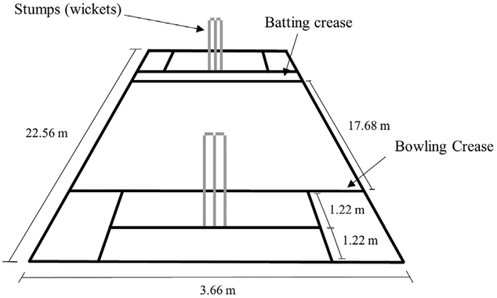 Introduction to cricket pitch markings