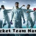 Best - 1200+ Cricket Team Names