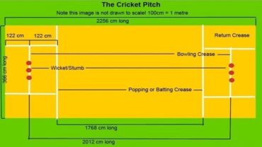 Cricket Pitch Length